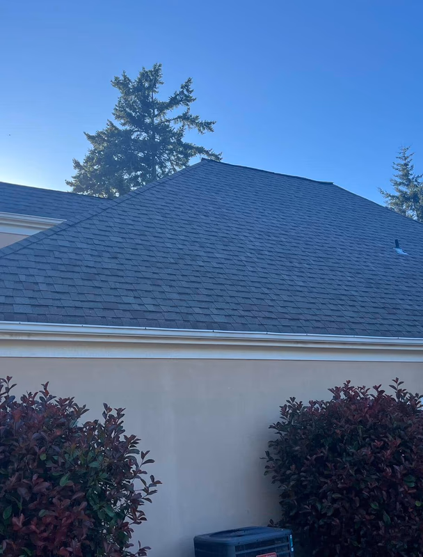 ACE Home Improvement construction project